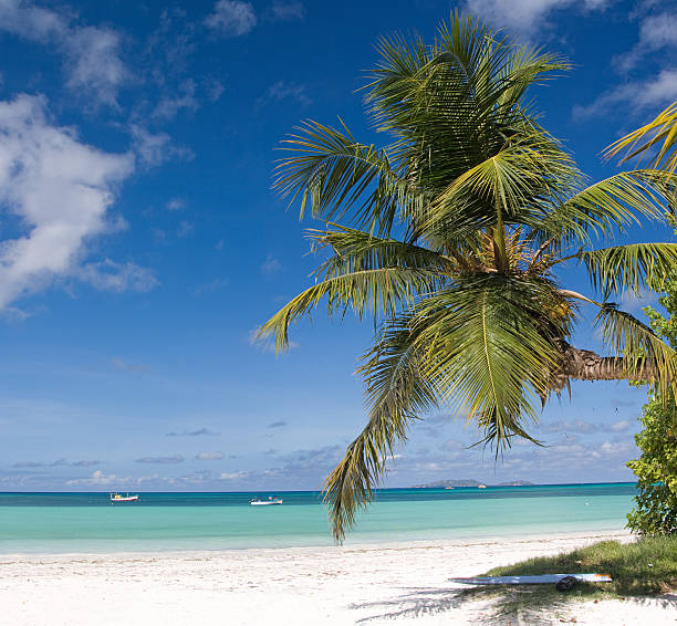 istock Seychelles tropical paradise beach 157421714
