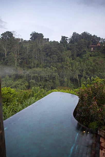 1,200+ Infinity Pool Bali Stock Photos, Pictures & Royalty-Free Images ...