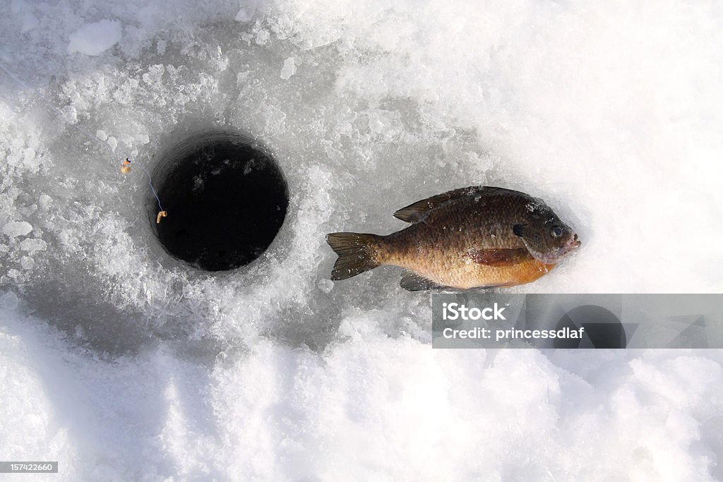 Pêche sous la glace trou - Photo de Pêche sur la banquise libre de droits