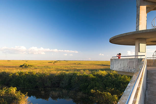 everglades: observación tower-ii - parque nacional everglades fotografías e imágenes de stock