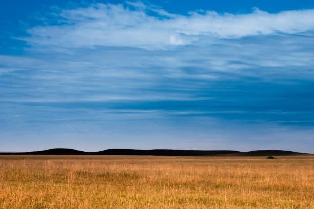 Praire Grassland at Sunset
