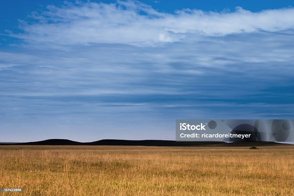 Темный таинственный Hills Канзас Tallgrass Prairie Grasslands - Стоковые фото Бородач - злак роялти-фри