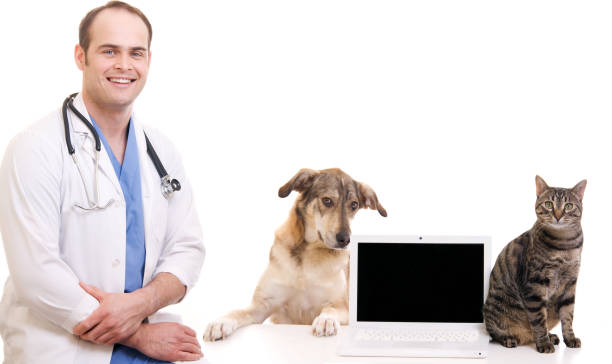 Animal Health Care Professional with Blank Screen cat and dog stock photo