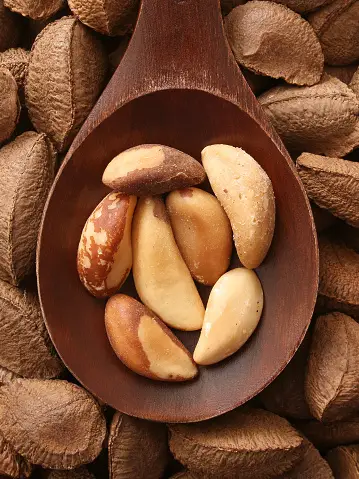 Brazil Nuts Pictures | Download Free Images on Unsplash