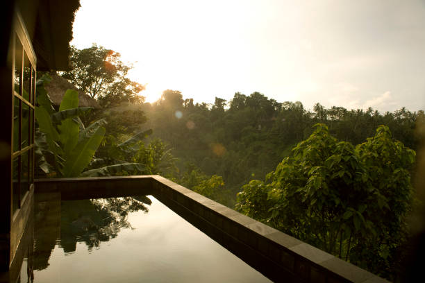Sunrise from the villa in Ubud, Bali