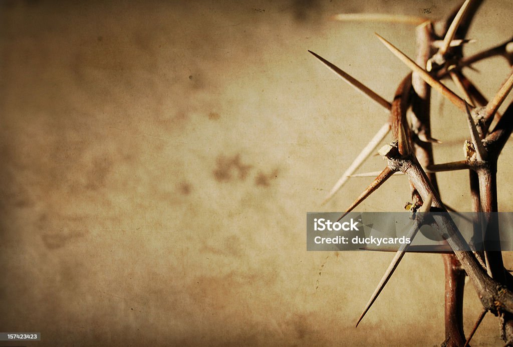 Crown of Thorns on Grunge Background  Crown Of Thorns Stock Photo