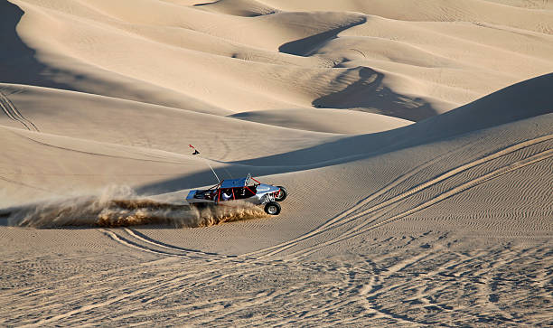 istock Crazy Fun In The Sand Dunes 157423529