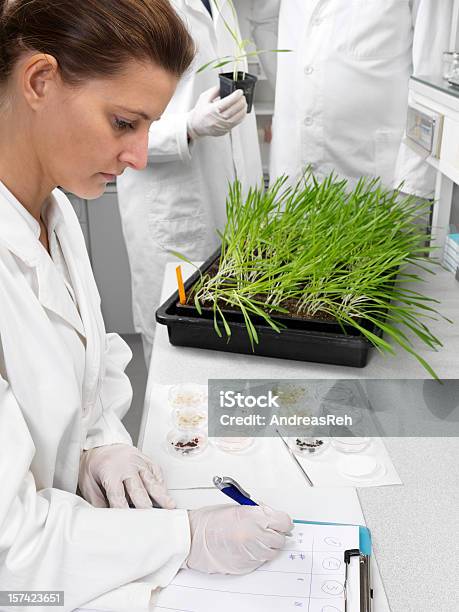 A Woman In A Lab Coat Writing On A Chart In A Biology Lab Stock Photo - Download Image Now