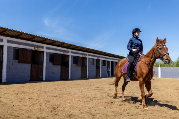 istock Girl riding a horse 1574236905