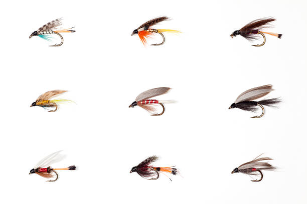 Fly Fishing - Dry Flies Macro image of a selection of fly fishing dry flies. hook equipment stock pictures, royalty-free photos & images