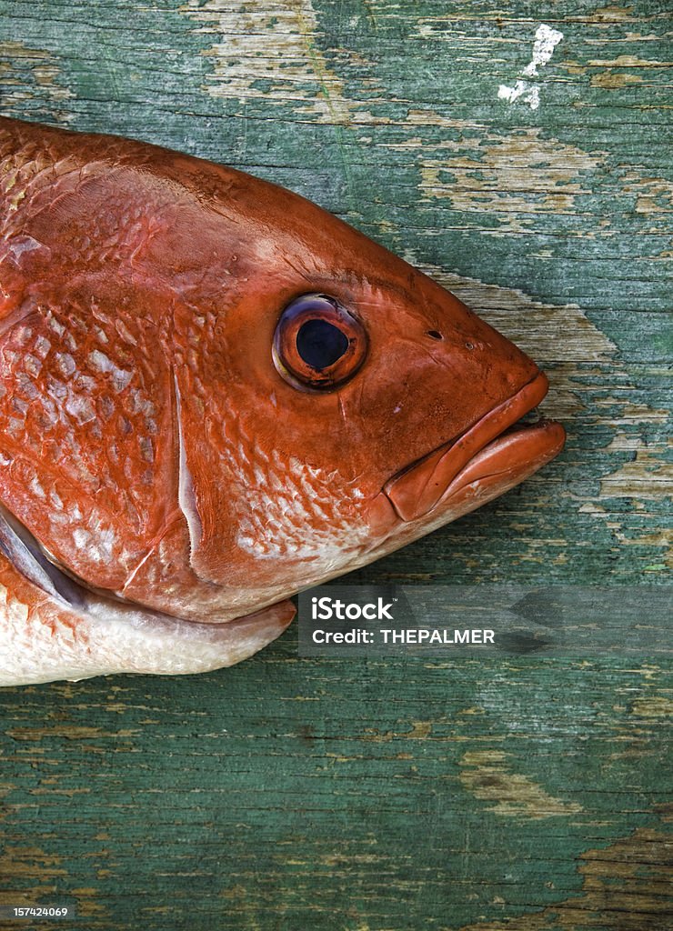 fish head - Lizenzfrei Farbbild Stock-Foto