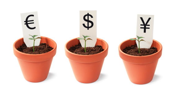 Flowerpots with Young Plants and Euro, US Dollar and Yen Signs, Symbolizes Your Future Profits. SEE more photos in my lightbox Money, Finance, Credit Crisis: 