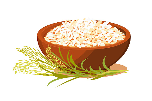 Bowl of rice. Cereal porridge with ears. Vegetarian food. Asian cuisine vector illustration.