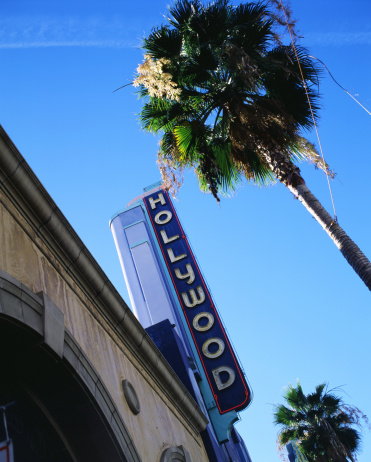 67 Color Chrome Hollywood Blvd. sign with palm tree.