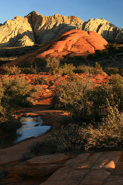 Desert Scene  snow canyon state park stock pictures, royalty-free photos & images