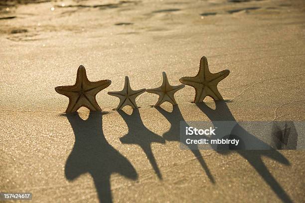 Foto de Feliz Starfishes e mais fotos de stock de Alegria - Alegria, Amizade, Amor