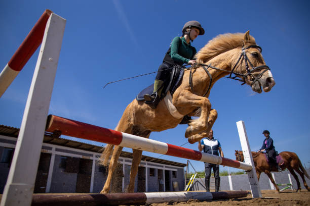 istock Girls training riding horses 1574246433