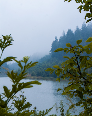 It’s cloudy, it’s cold, but its a beautiful view of this lake or a pond in the middle of the mountains. The lake is surrounded by trees and other foliage as well as mountains. Over the lake is a cloud-covered sky with a chance of rain.