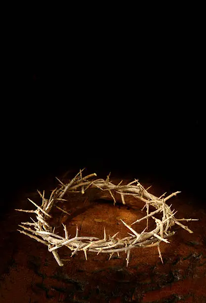 "And when they had platted a crown of thorns, they put it upon his head, and a reed in his right hand: and they bowed the knee before him, and mocked him, saying Hail King of the Jews!" Matthew, 27: 28-9