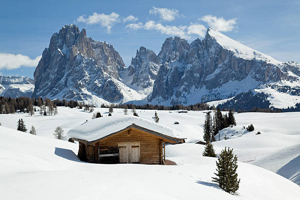Winter scenics with wooden shed and Langkofel mountain (Dolomites, Italy)  alto adige italy stock pictures, royalty-free photos & images