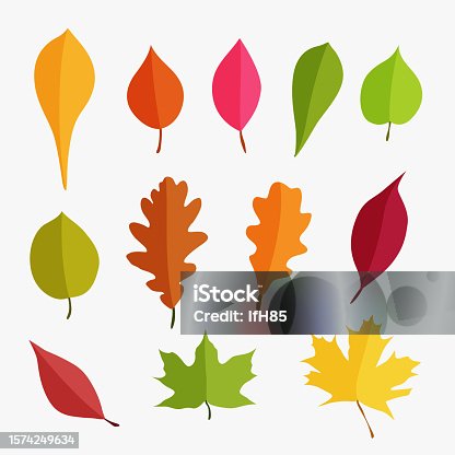 istock colorful autumn leaves in set simple design 1574249634