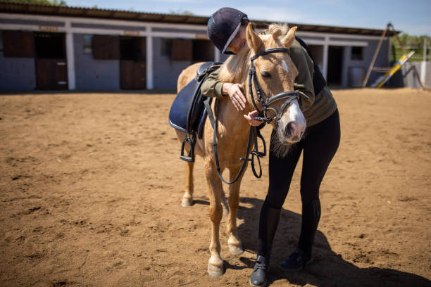 istock Woman hugging a horse 1574250186