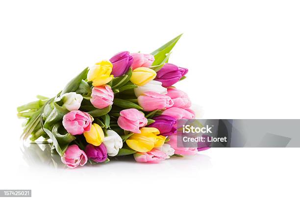 Tulips Bouquet Stock Photo - Download Image Now - Tulip, Cut Out, Gift