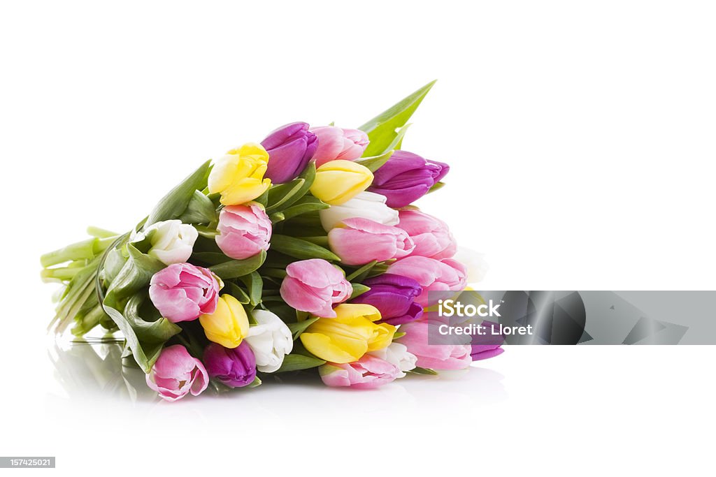 Túlipas ramo - Royalty-free Tulipa Foto de stock