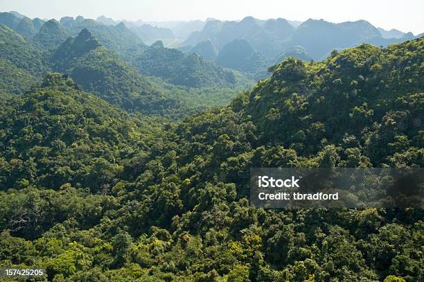 Karst Paisagem De Halong Bay Vietnam - Fotografias de stock e mais imagens de Floresta pluvial - Floresta pluvial, Vietname, Ao Ar Livre