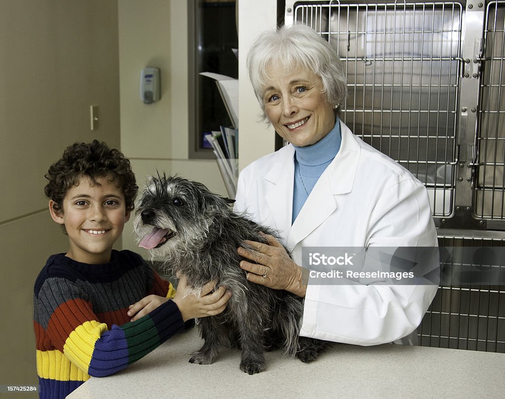 / a figlio/a con il suo cane al Veterinario - Foto stock royalty-free di Bambino