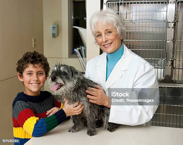 Criança Com Seu Cachorro No Veterinário - Fotografias de stock e mais imagens de Criança - Criança, Cão, Veterinário