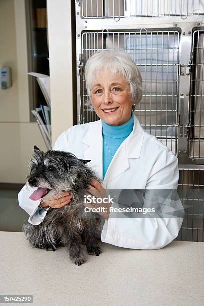 Vet Helping A Friendly Looking Dog Stock Photo - Download Image Now - Adult, Adults Only, Color Image