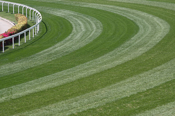 istock Horse Racing Track 157425474