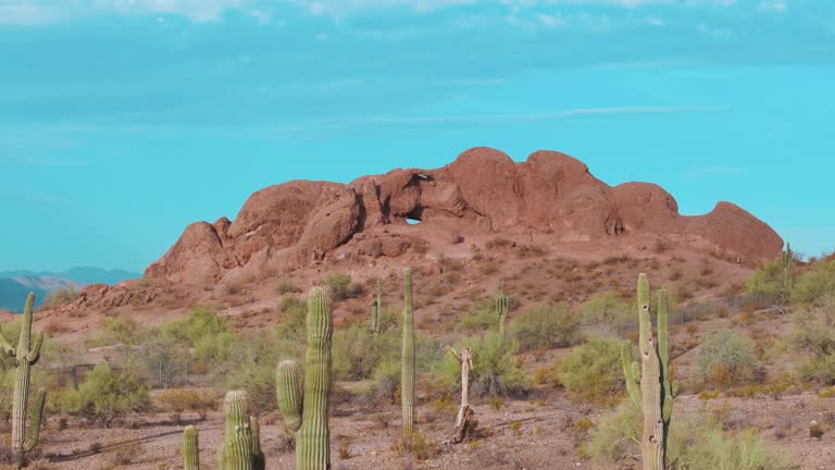 Drone rising up to reveal cactus in desert landscape and a rock formation with blue sky