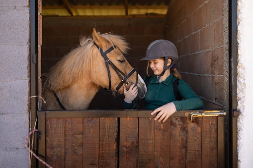 Girl standing next to a brown horse outdoors in a stable.