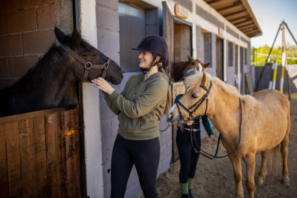istock People love horses 1574259349