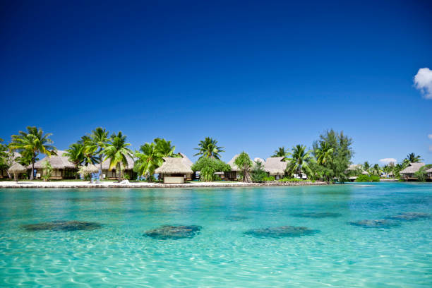 istock Summer Holiday Beach Paradise 157426855
