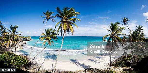 Harrismith Playa Y Palmeras En Barbados Foto de stock y más banco de imágenes de Agua - Agua, Aire libre, Antillas occidentales