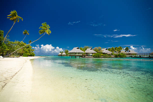 istock Dream Beach Vacation Hotel Cottages in Lagoon 157426931