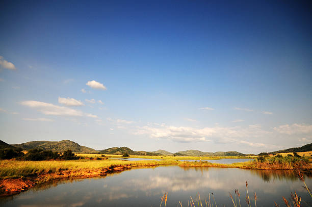 Landscape in the Pilanesberg National Park, South Africa