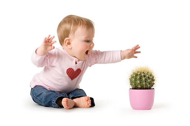 Baby in danger - Child Cactus Playing Pain First Aid stock photo