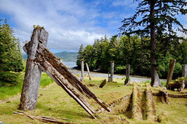 Historic Totem Poles, Sgang Gwaay, Ninstints, Haida Gwaii, BC, Canada Haida gwaii, sgang, gwaay , nature, landscape, background, haids, gwaii, totem, pole, tree, ocean, pacific, wood, aboriginal, July, 2023, Canada, British, Columbia, historic, ninstints, history, island haida gwaii totem poles stock pictures, royalty-free photos & images