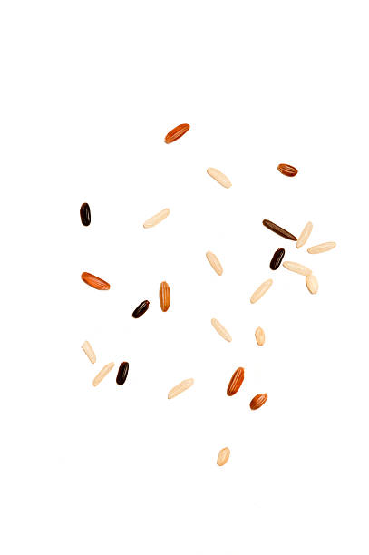 Detail of wild rice on a white background  rice cereal plant stock pictures, royalty-free photos & images