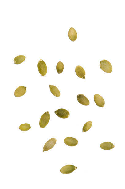 istock Background color image of Pepitas 157427431