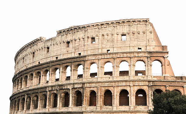 coliseu isolado no branco, roma itália - flavian amphitheater coliseum rome imagens e fotografias de stock
