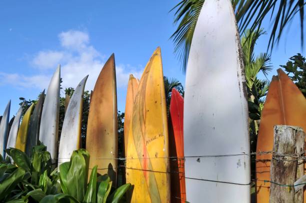 istock Surfboard fence lit by sunrise 157427663