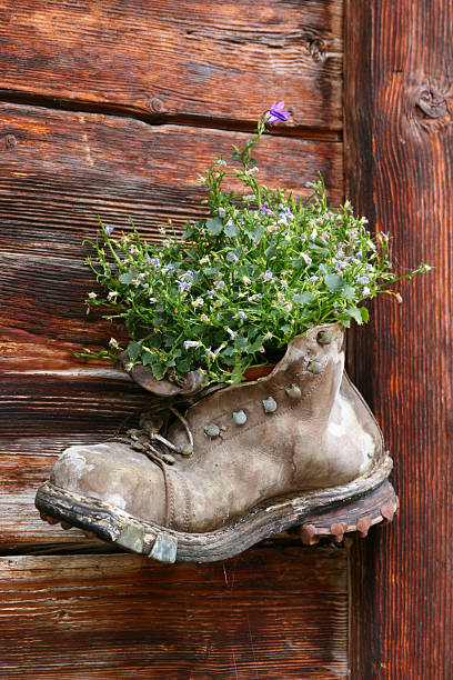 Hiking Anyone? stock photo