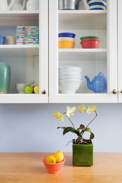 Subject: Still life of a scene in a residential home kitchen including a glass cupboard cabinet and the kitchen counter.