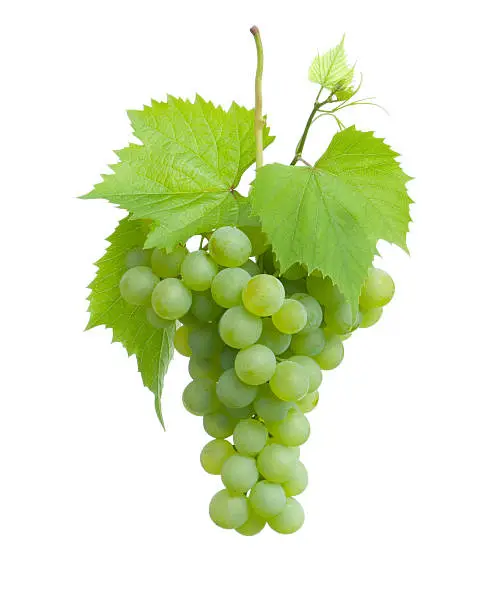 Photo of Cluster of green grapes on a plain white background