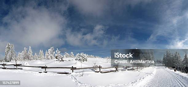 Sci Di Fondo - Fotografie stock e altre immagini di Abete - Abete, Ambientazione esterna, Area selvatica